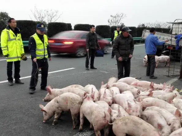 50多輛車在高速離奇炸胎