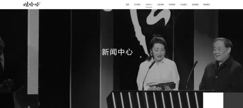 娃哈哈官網已改為黑白色