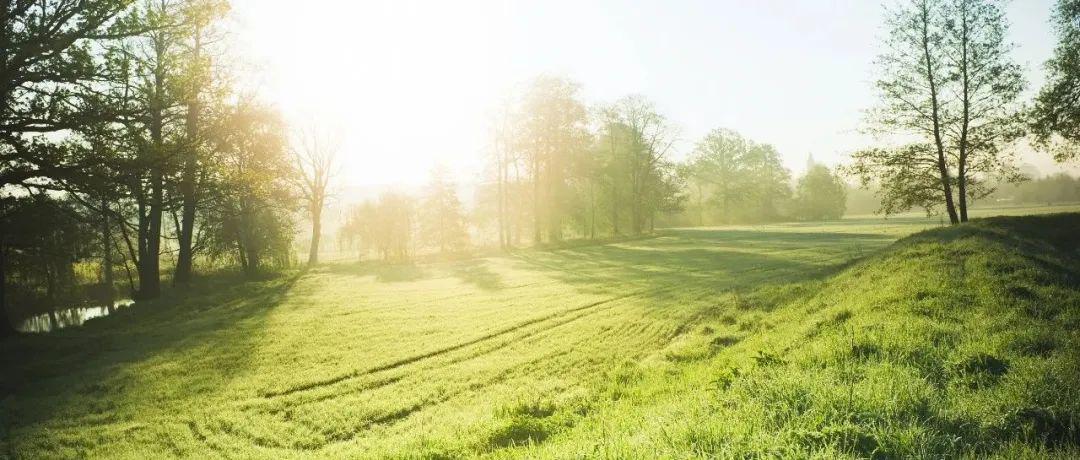 社保卡將逐步實現“全國一卡通”