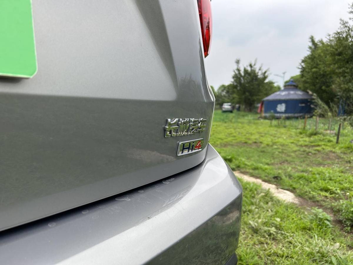 可城可野,試駕第二代大狗,驚喜頗多?