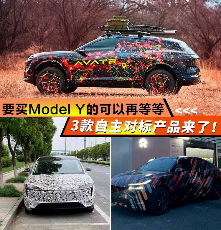 要買Model Y的可以再等等,3款自主對標產品來了!