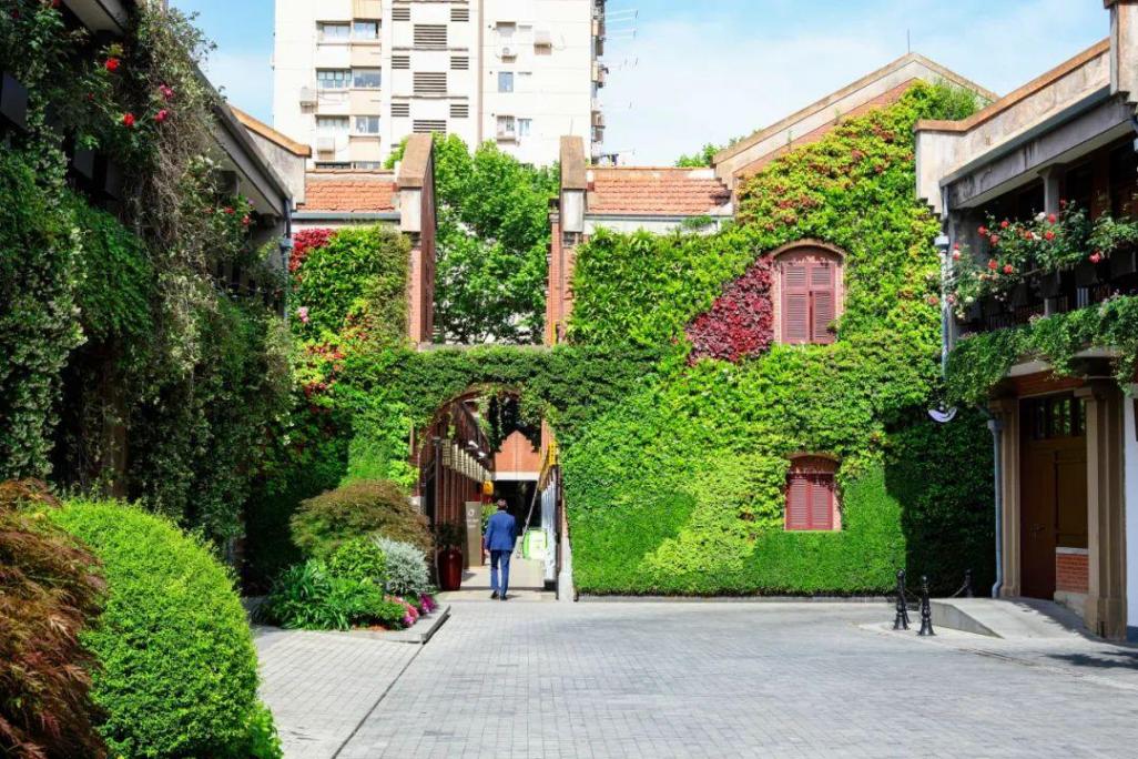 打造城市街區花園會客廳,來上海徐匯這里體驗“轉角遇見美”