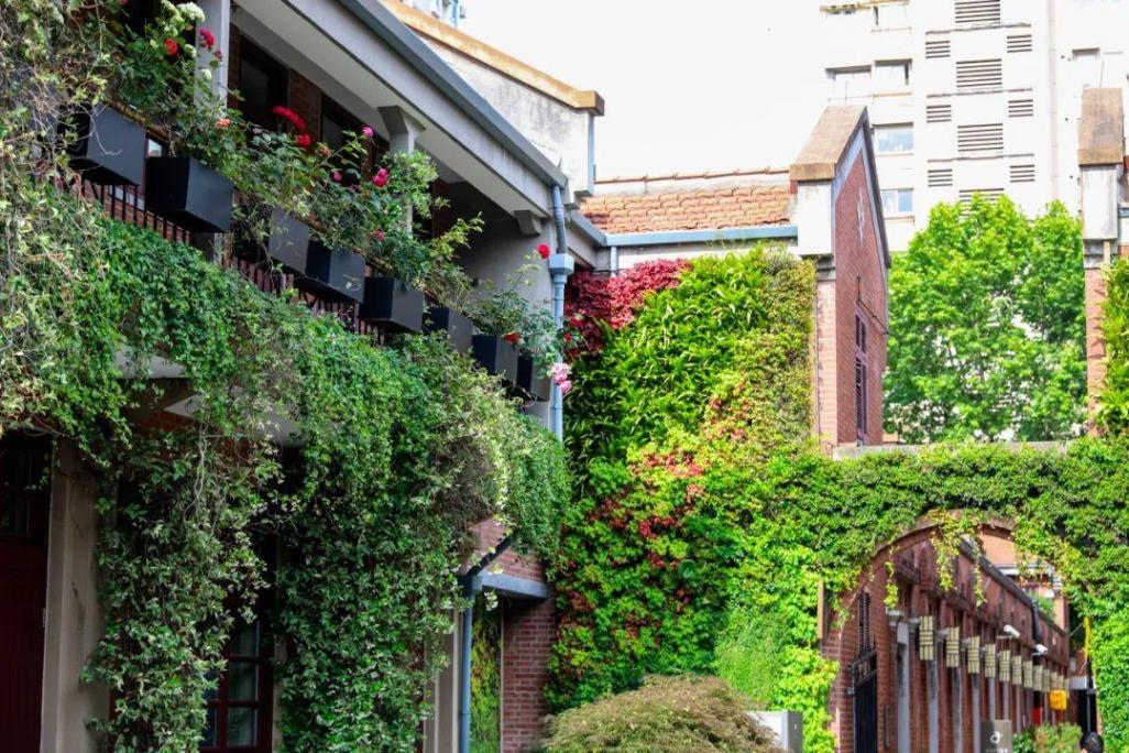 打造城市街區花園會客廳,來上海徐匯這里體驗“轉角遇見美”