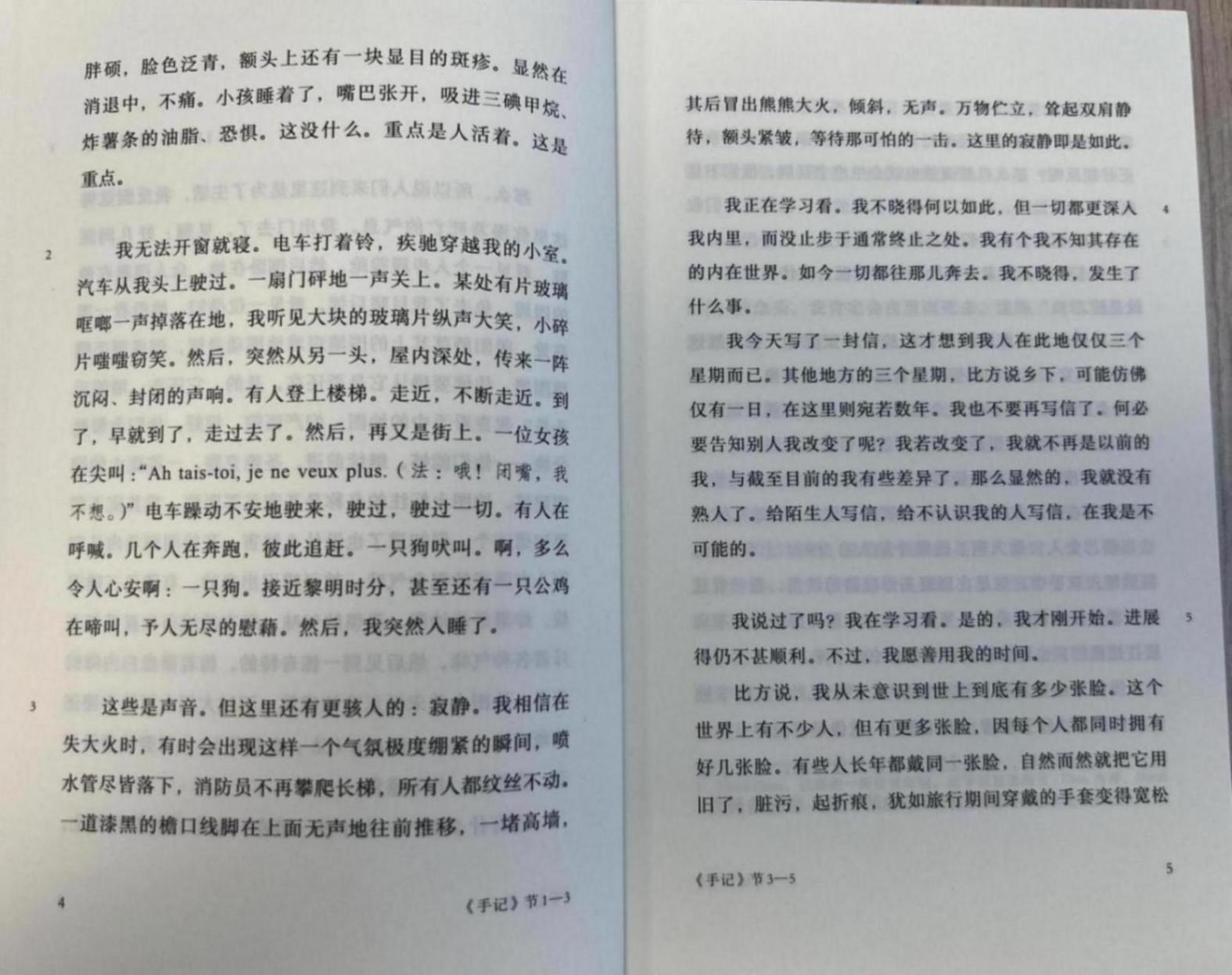 張巍:我理想中的《馬爾特手記》