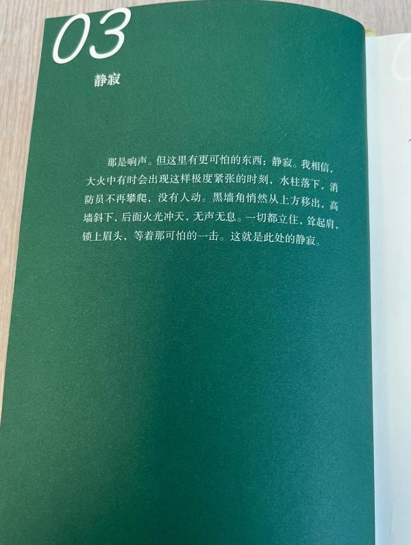 張巍:我理想中的《馬爾特手記》