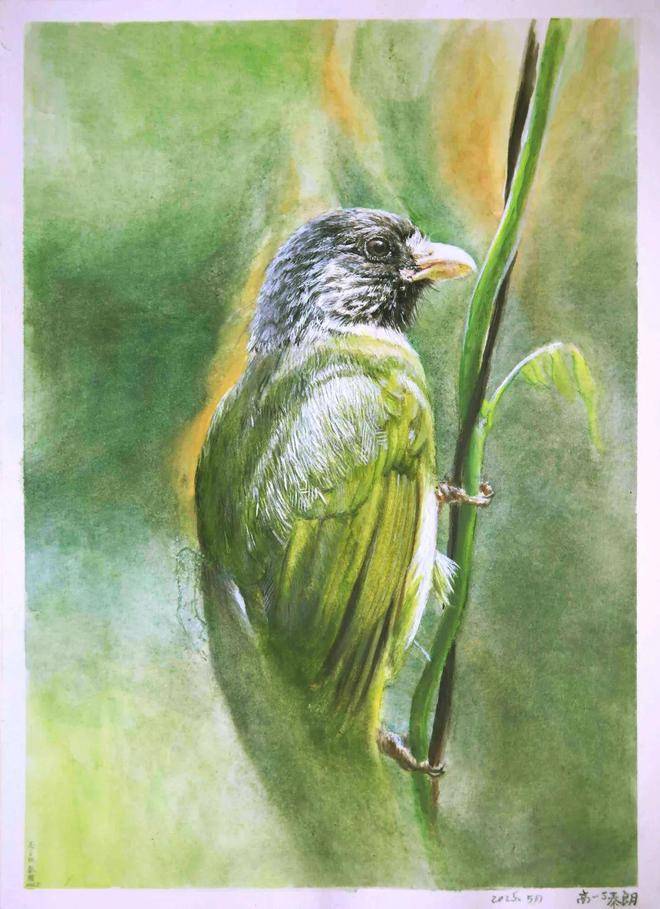 筆尖下的徽州|央美實驗學校高一年級研學寫生作品展