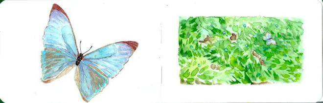 筆尖下的徽州|央美實驗學校高一年級研學寫生作品展