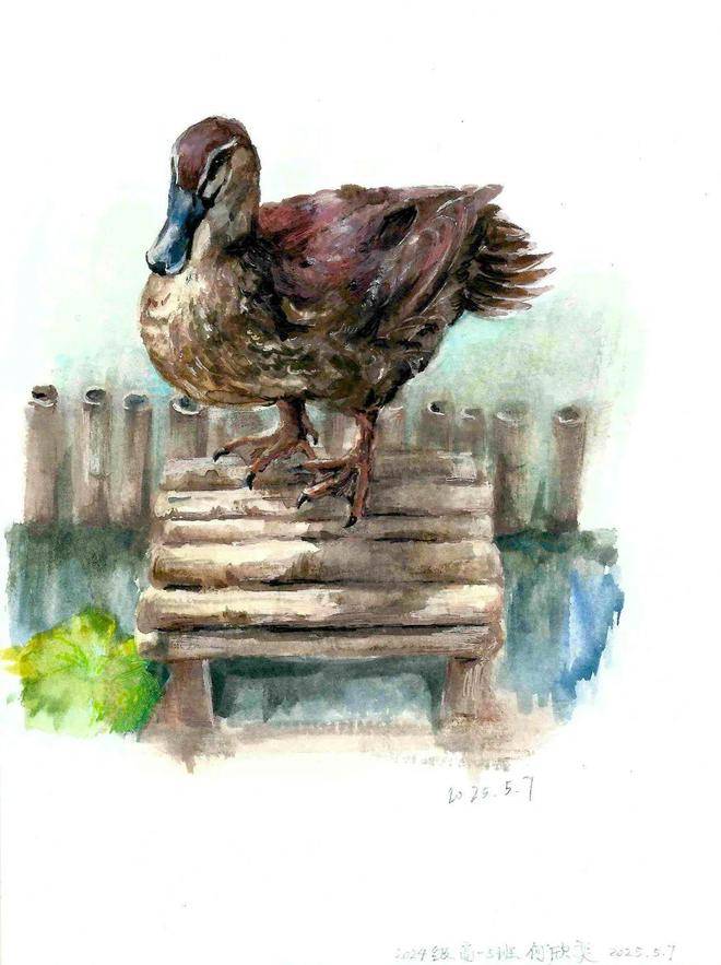 筆尖下的徽州|央美實驗學校高一年級研學寫生作品展