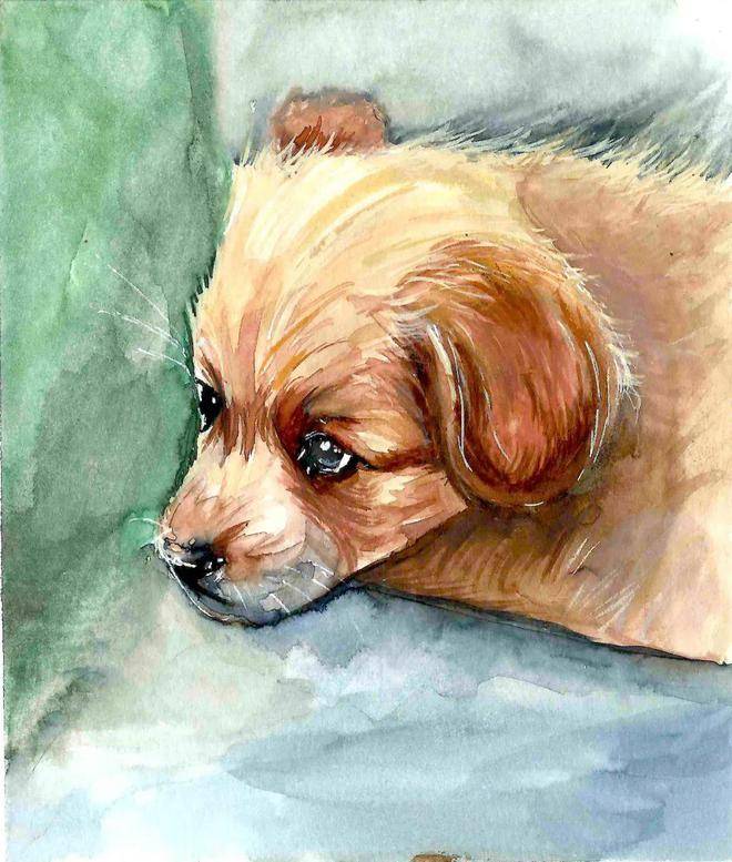 筆尖下的徽州|央美實驗學校高一年級研學寫生作品展