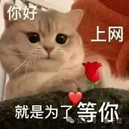 ChatGPT智能體正式發布,多個創業賽道昨夜無眠