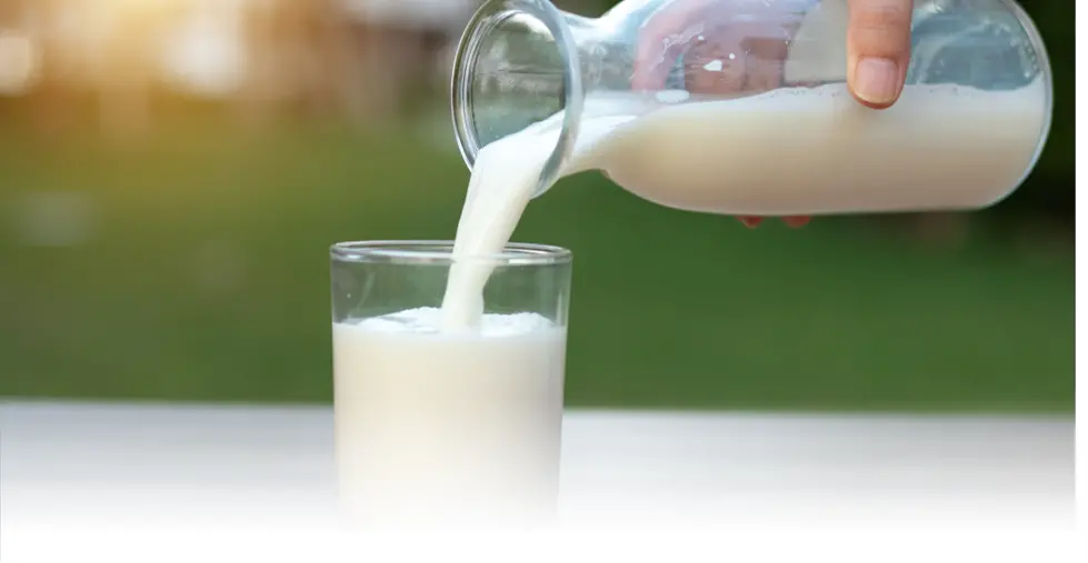 AI不僅成為乳企們應對周期性波動的“對沖工具”,更是其在存量競爭中實現差異化競爭的關鍵手段 圖片