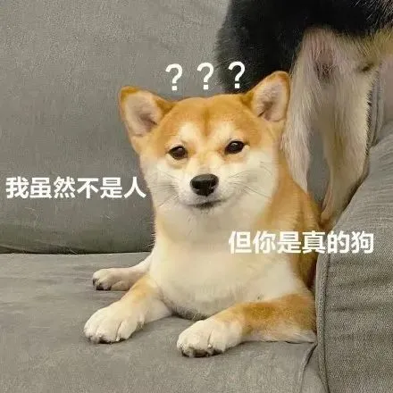 別焦慮!不會用AI也不會被淘汰,工程師老哥實測各類工具:10倍生產力神話太夸張了