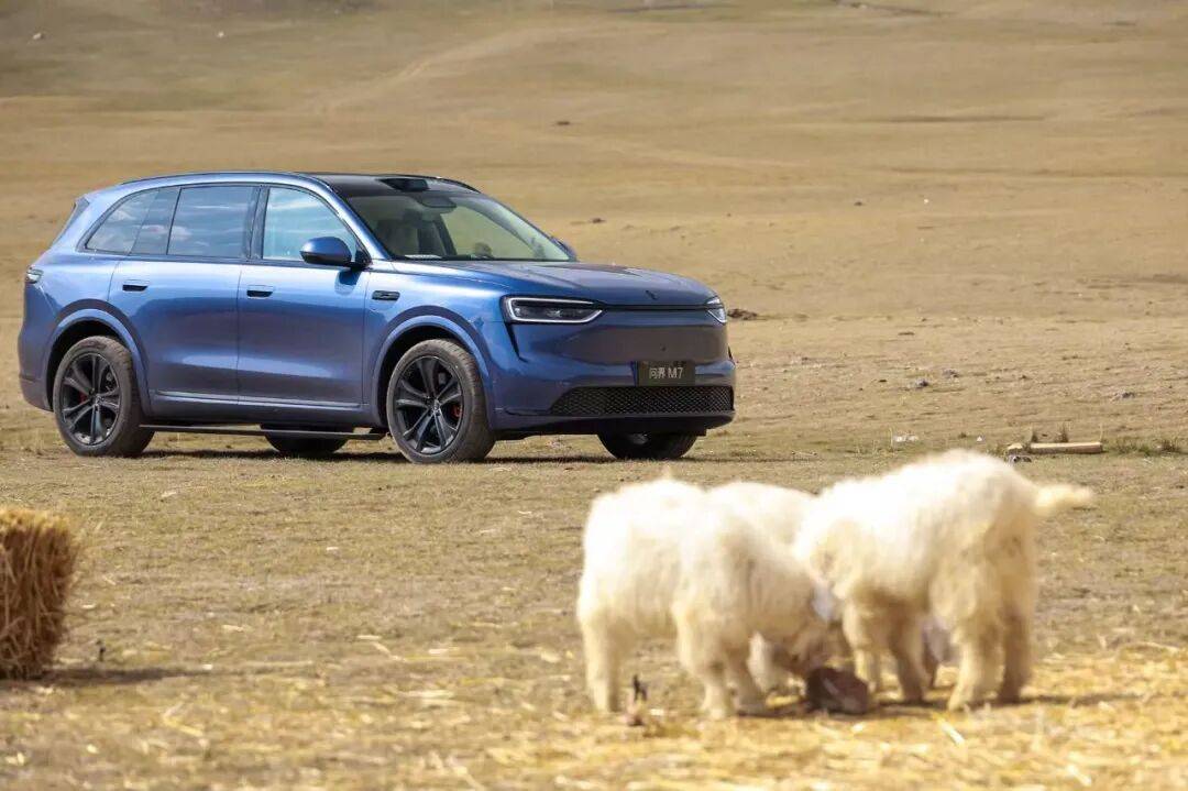 全新問界M7購車指南:標配即豪華,哪款最值得入手?