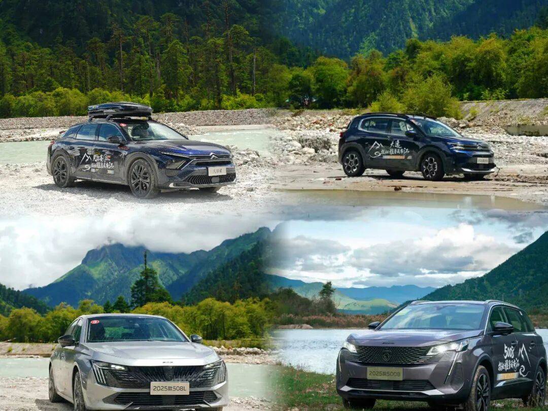 從寵粉開始,神龍汽車打響翻身戰(zhàn)