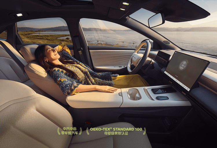 令王傳福凝重的日產N6,9.99萬起能否撼動自主插混堡壘?