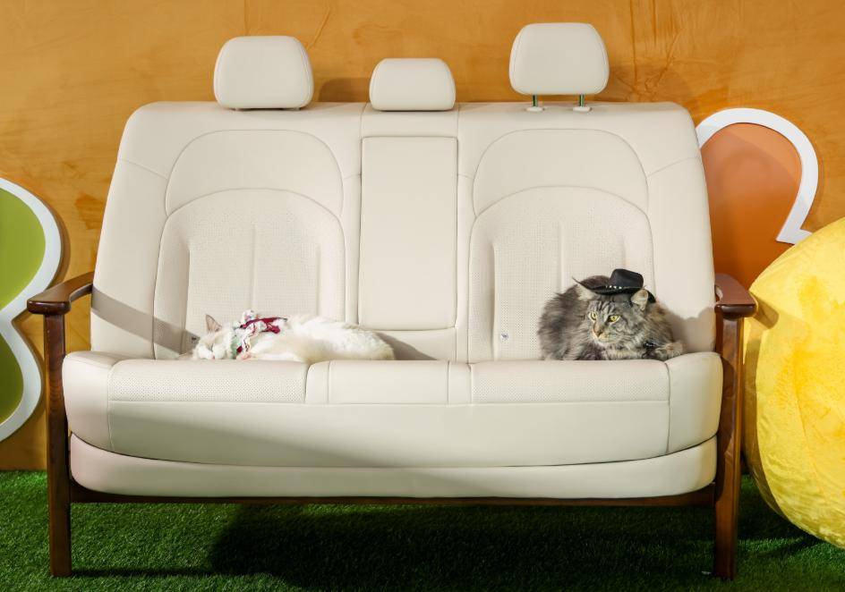 合資插混家轎只賣9萬多?日產N6主打顏值、舒適,競爭秦L DM-i!